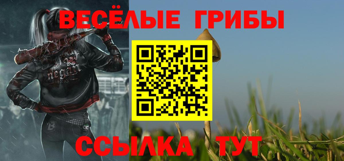Псилоцибиновые грибы мицелий  магазин продажи наркотиков  Моздок  Вход с VPN 